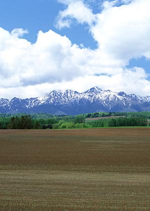 静岡県内の信頼できる家族葬・火葬プランを提供する【家族葬のタクセル】の詳細と特徴