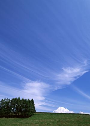 静岡県浜松市に新規オープン！家族葬専門の「家族葬のタクセル豊町」の魅力と特徴