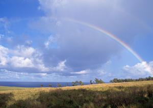 静岡市葬儀場のリーディング、富士葬祭材木町の詳細と特徴