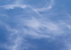 静岡県で選ばれる家族葬と火葬の専門サービス｜信頼の葬儀場・斎場一覧と特徴解説