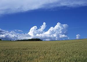 磐田市見付にある家族葬・小規模葬儀の専門会場【富士葬祭 富士見台】の特徴と店舗情報